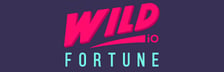 Wild Fortune Casino